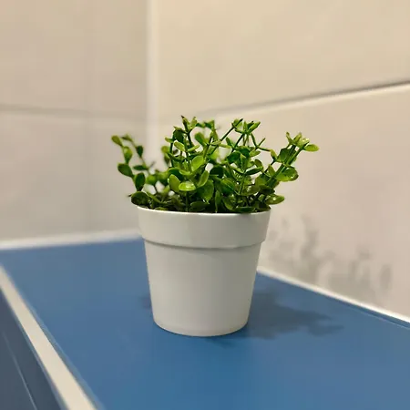 Apartamento Noble House Comfort Place