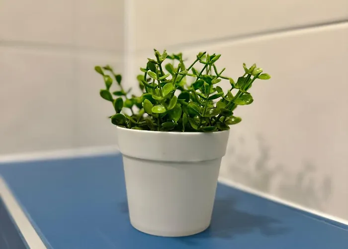 דירה Noble House Comfort Place